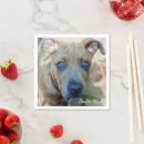 Pesquisar por material de bull terrier Cachorrinho