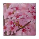 Pesquisar por flores de cerejeira azulejos Sakura