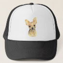 Pesquisar por cão da chihuahua bones Fofofo