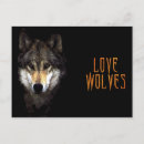 Pesquisar por lobo digital cartoes postais Animais