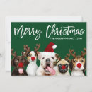 Pesquisar por cachorrinhos natal cartoes Cão