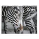 Pesquisar por zebra calendarios Natureza