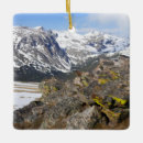 Pesquisar por marmota do marmota ornamentos Vida selvagem