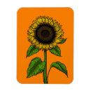 Pesquisar por vetor imas Floral