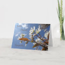 Pesquisar por imagens da natureza cartoes Flores