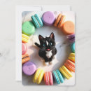 Pesquisar por gatos coloridos convites Qualquer crinaça