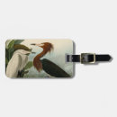 Pesquisar por john bagagem tags John james audubon