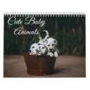 Pesquisar por gado calendarios Animais
