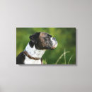 Pesquisar por boxer impressão de canvas Perfil