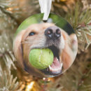 Pesquisar por bola de tênis ornamentos Cão