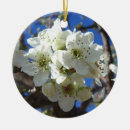 Pesquisar por primavera ornamentos Floral