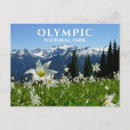 Pesquisar por as olimpiadas cartoes postais Washington