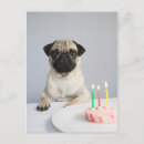 Pesquisar por pug cartoes Animal de estimação