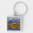 Pesquisar por wyoming chaveiros Ambiente