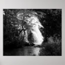 Pesquisar por árvore preto e branco pôsteres pósteres Fotografia da natureza