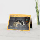 Pesquisar por father cartoes Pet