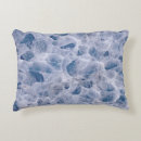 Pesquisar por aranha numa teia Para todos