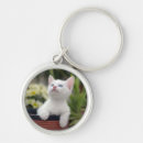 Pesquisar por gato doméstico chaveiros Gatinho