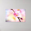 Pesquisar por sakura impressão de canvas Arte