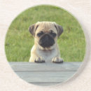 Pesquisar por pugs porta copos Cachorros