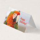 Pesquisar por papagaio de papel cartoes Aniversário