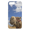Pesquisar por camelo iphone capas Pirâmide
