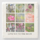 Pesquisar por pássaro porta copos Fotografia