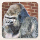 Pesquisar por gorila porta copos Engraçado