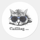 Pesquisar por gato dos óculos sol adesivos Engraçado