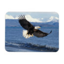 Pesquisar por predador imas Fauna