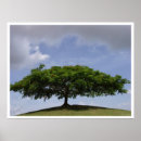 Pesquisar por cor da laranja pôsteres pósteres Luz