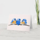Pesquisar por bluebird cartoes Baby