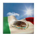 Pesquisar por bandeira azulejos Patriotismo