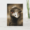 Pesquisar por avestruzes engraçadas cartoes Animais