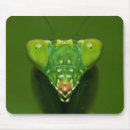 Pesquisar por louva deus eletronicos Cor