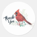 Pesquisar por bird adesivos Para eles