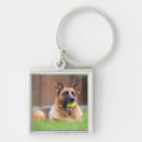 Pesquisar por do german shepherd chaveiros Animal