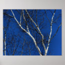 Pesquisar por poster bicho pôsteres pósteres Para ela