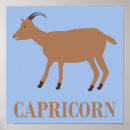 Pesquisar por aniversário de dezembro pôsteres pósteres Capricorn