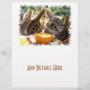 Pesquisar por insetos flyers Natureza