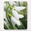 Pesquisar por flores da neve Natureza