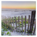 Pesquisar por praia azulejos Fotografia