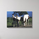 Pesquisar por cavalo pinturas impressão de canvas Equestre