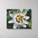 Pesquisar por flores exóticas impressão de canvas Colorido