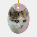 Pesquisar por calico ornamentos Animais de estimação