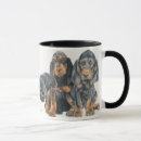 Pesquisar por coonhound preto e tan Caça