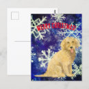 Pesquisar por natal canino cartoes postais Animal