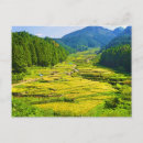 Pesquisar por plantação cartoes postais Natureza