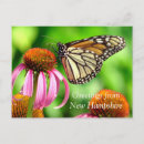 Pesquisar por manchas cartoes postais Natureza