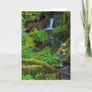 Pesquisar por olympic cartoes postais Woods